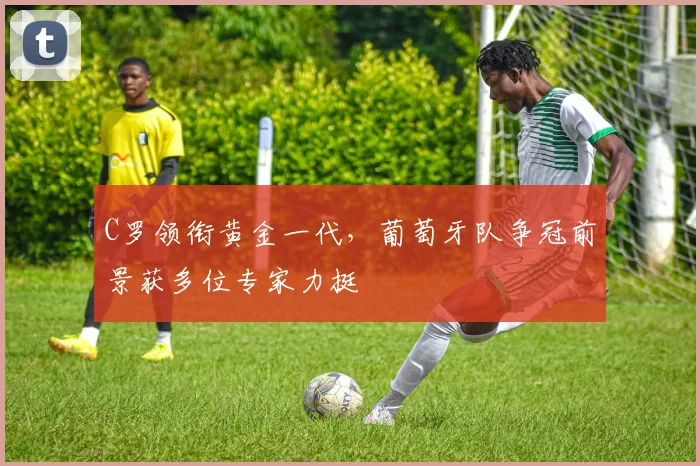 C罗领衔黄金一代，葡萄牙队争冠前景获多位专家力挺