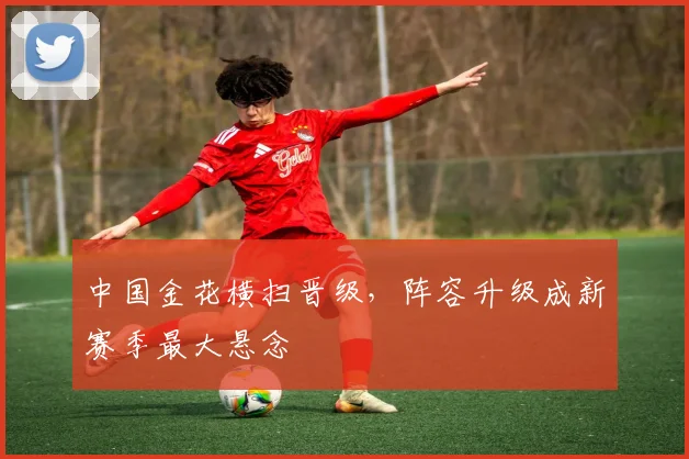 中国金花横扫晋级，阵容升级成新赛季最大悬念