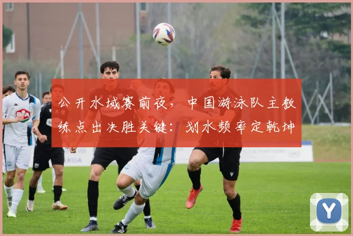 公开水域赛前夜，中国游泳队主教练点出决胜关键：划水频率定乾坤