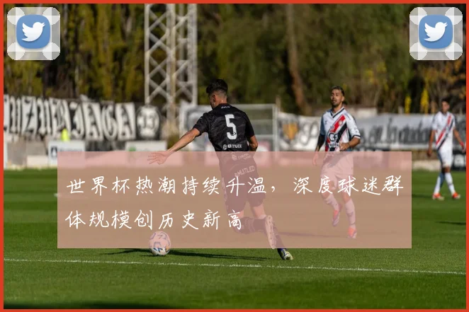 世界杯热潮持续升温，深度球迷群体规模创历史新高