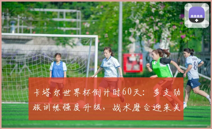 卡塔尔世界杯倒计时60天：多支劲旅训练强度升级，战术磨合迎来关键转折